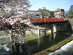 中橋