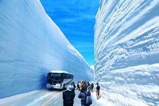 雪の大谷