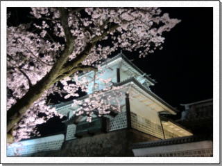 夜桜と金沢城・石川門