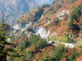 白山スーパー林道