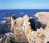 東尋坊